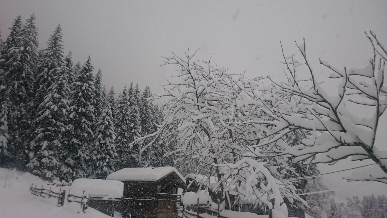 Haus Bergheimat Daire Tux Dış mekan fotoğraf