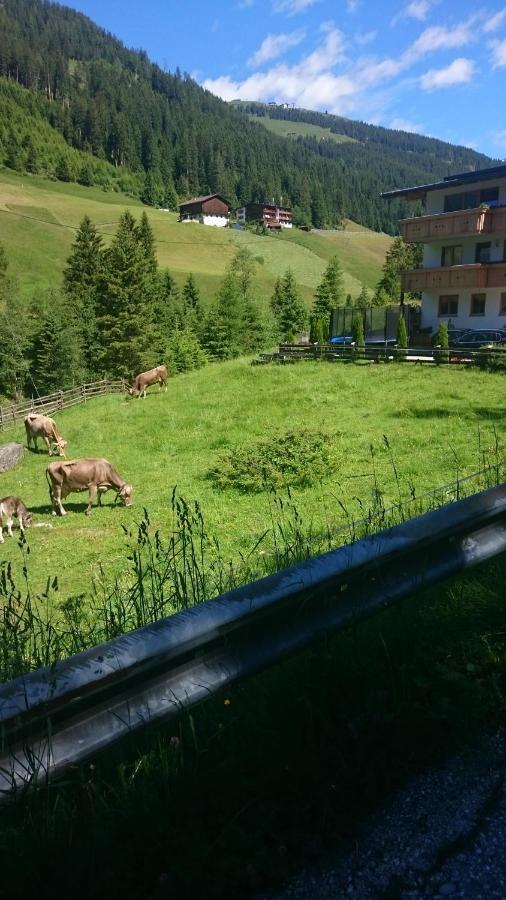 Haus Bergheimat Daire Tux Dış mekan fotoğraf